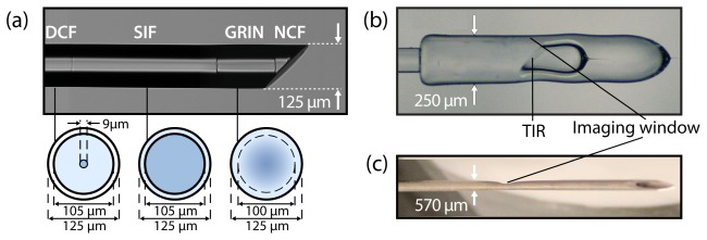 Fig. 2