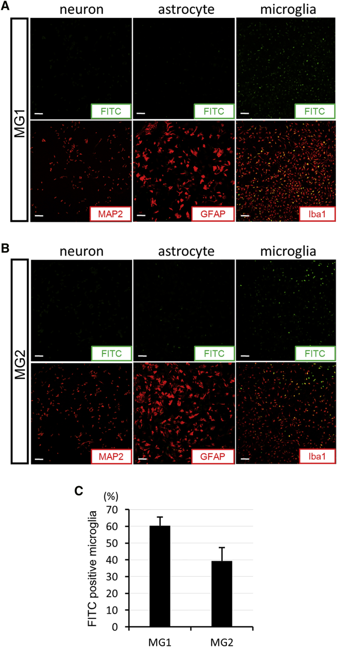 Figure 3