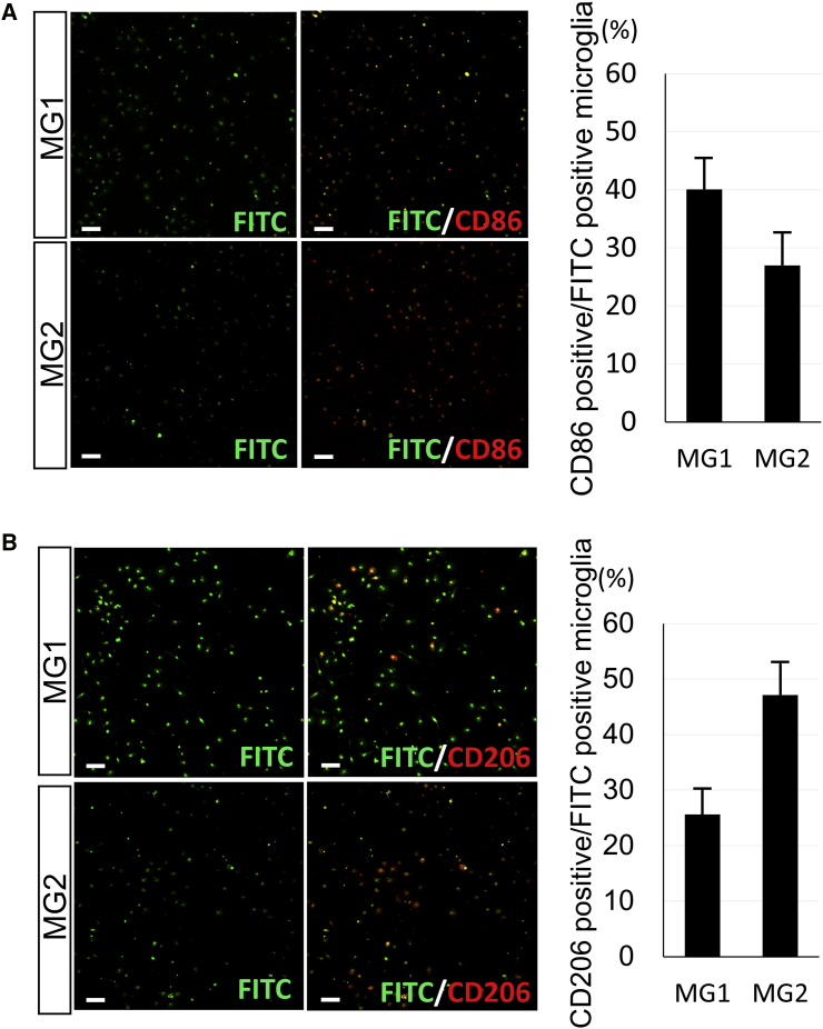 Figure 4