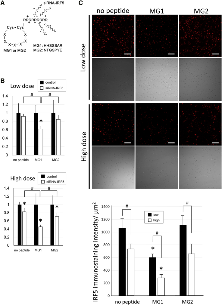 Figure 6