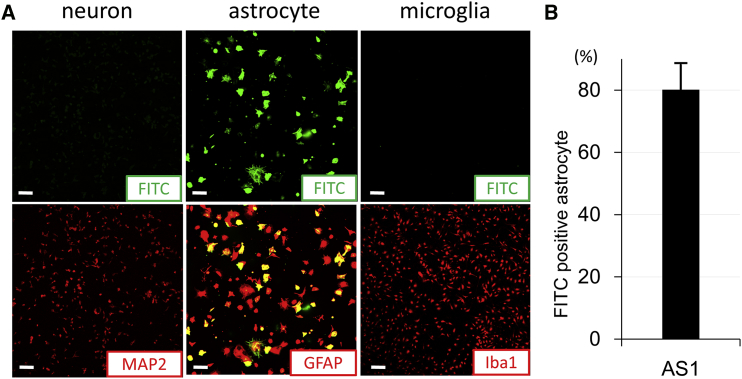 Figure 2