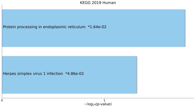 Figure 5