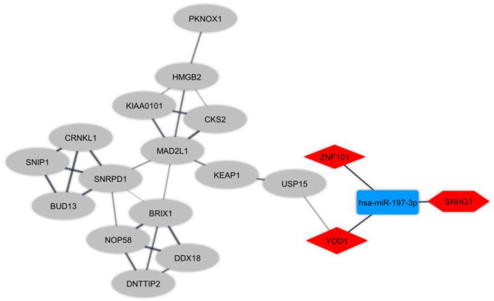 Figure 3