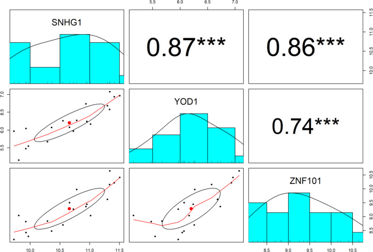 Figure 4