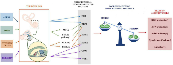 FIGURE 2