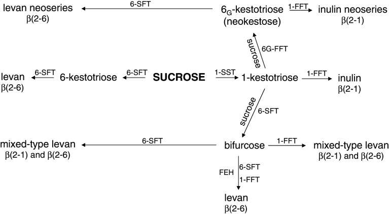 Fig. 2