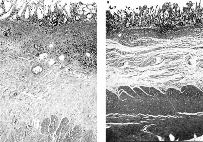 Figure 1  