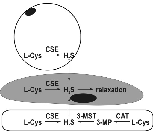 FIG. 5.