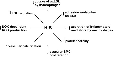 FIG. 7.