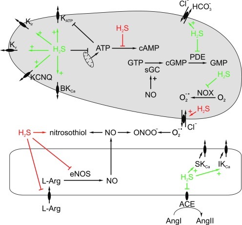 FIG. 6.