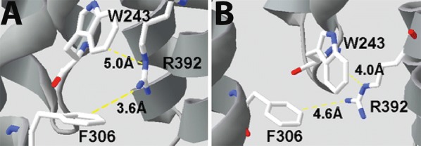 Fig. 9