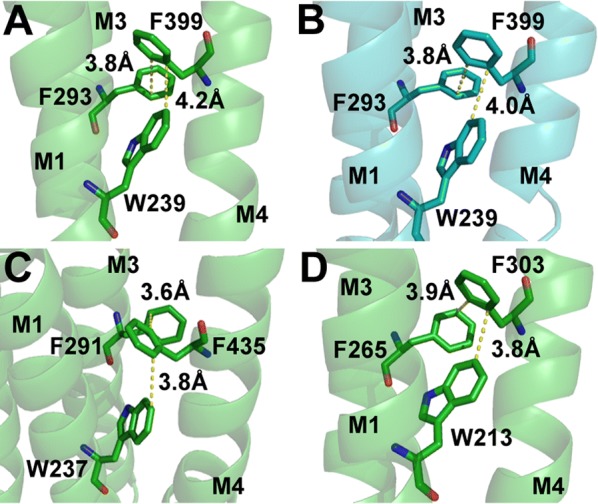 Fig. 6