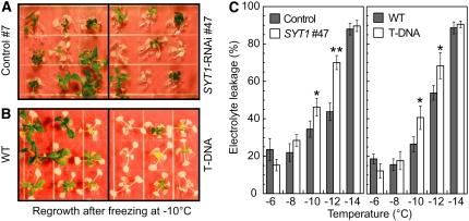 Figure 13.