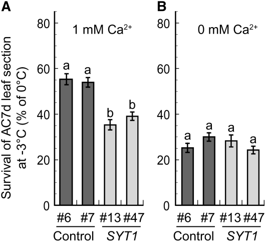 Figure 12.