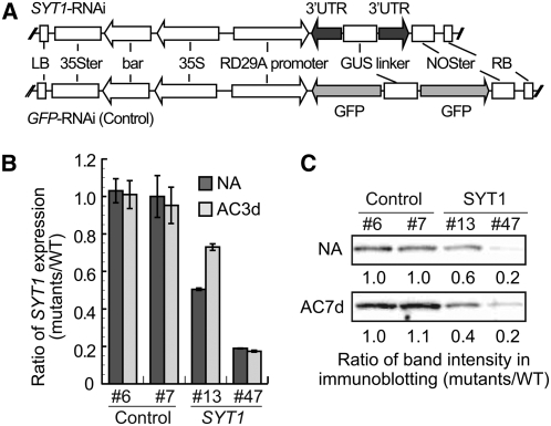 Figure 10.