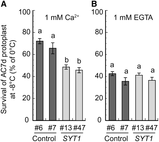 Figure 11.