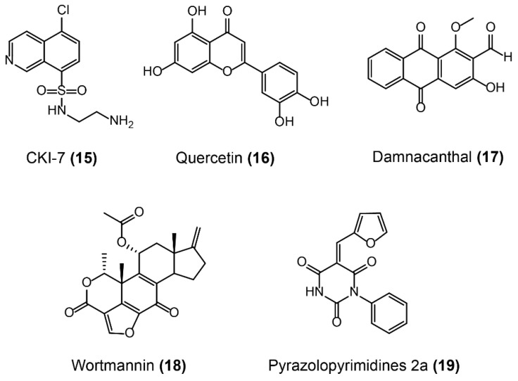 Figure 12