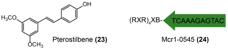 Figure 14