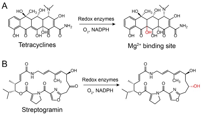 Figure 7