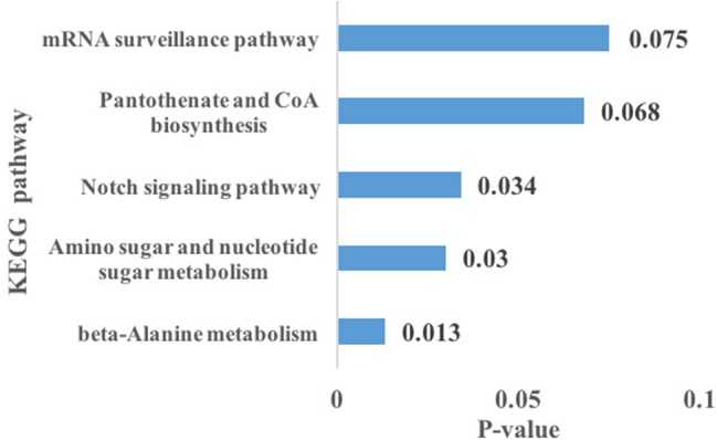 Figure 5