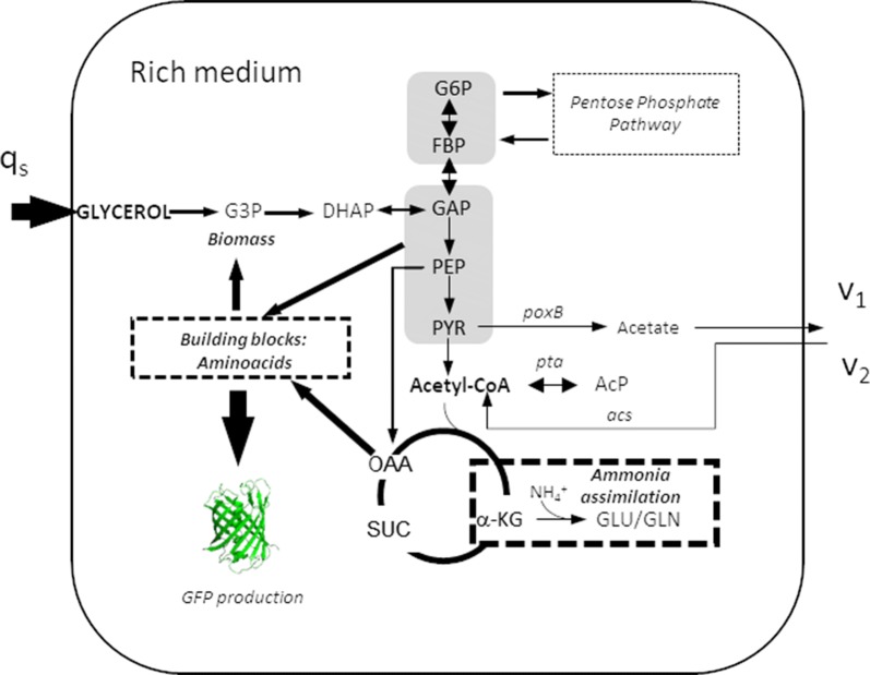 Fig. 11