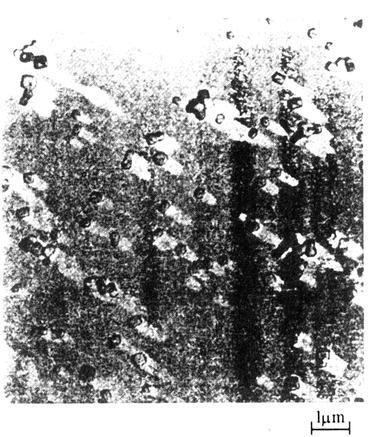 Fig. 1.8