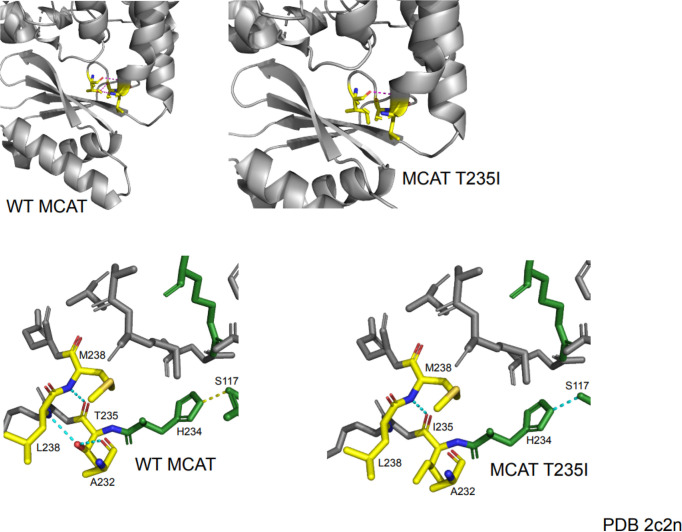 Figure 2—figure supplement 4.