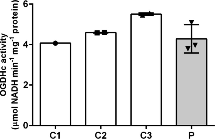 Figure 2—figure supplement 2.