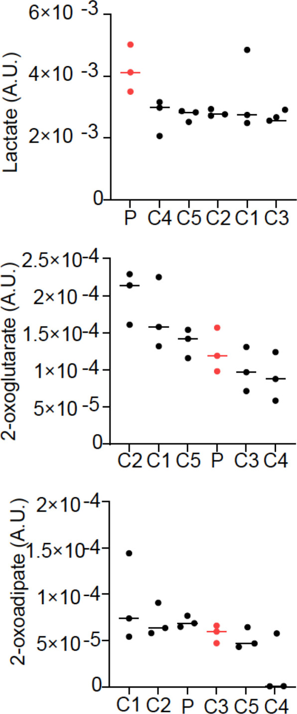 Figure 2—figure supplement 3.