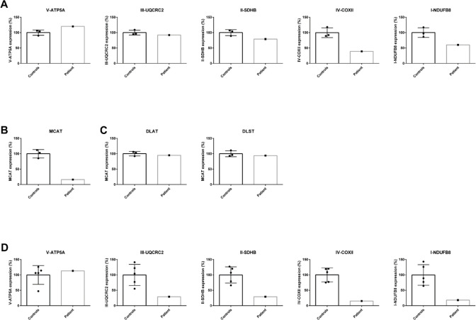 Figure 2—figure supplement 1.