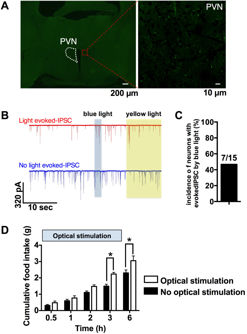 Figure 3