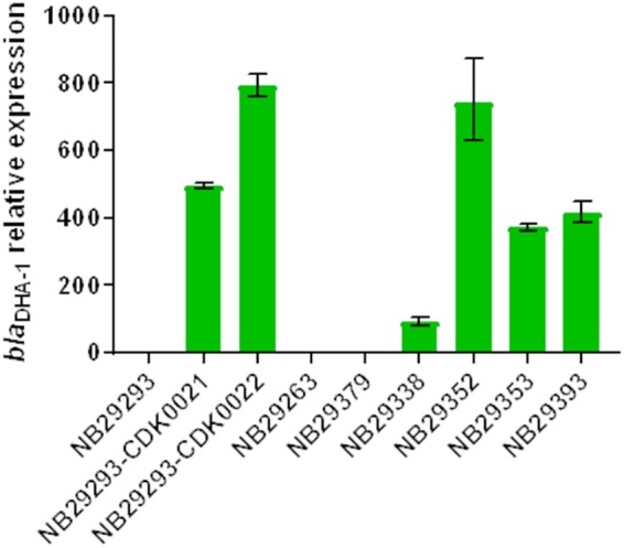 FIG 1