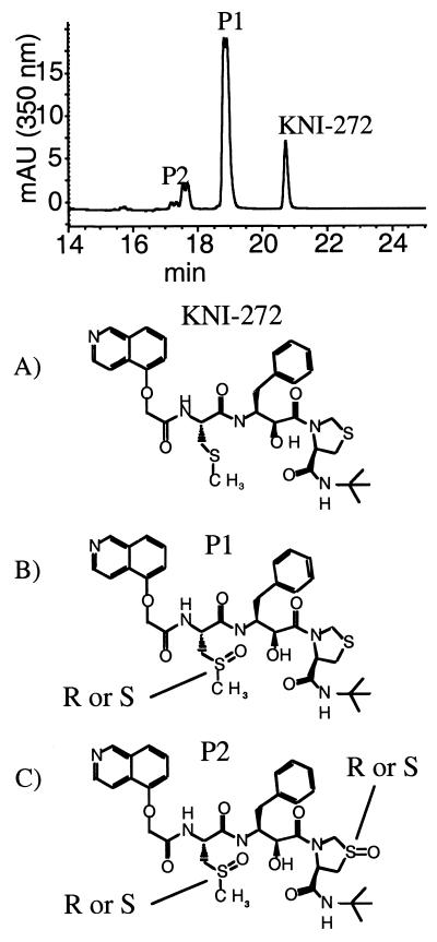 FIG. 1.