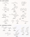 FIGURE 6b