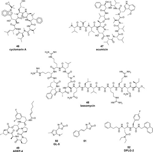 FIGURE 9