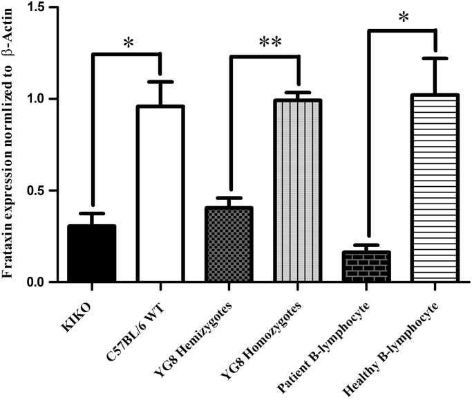 Figure 1.