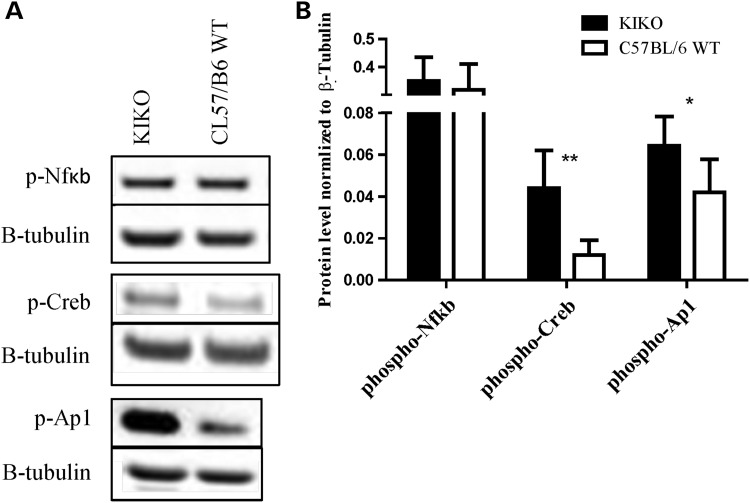 Figure 6.