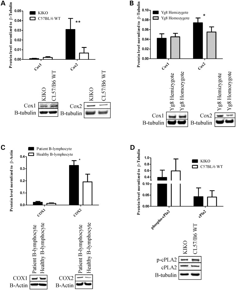 Figure 3.