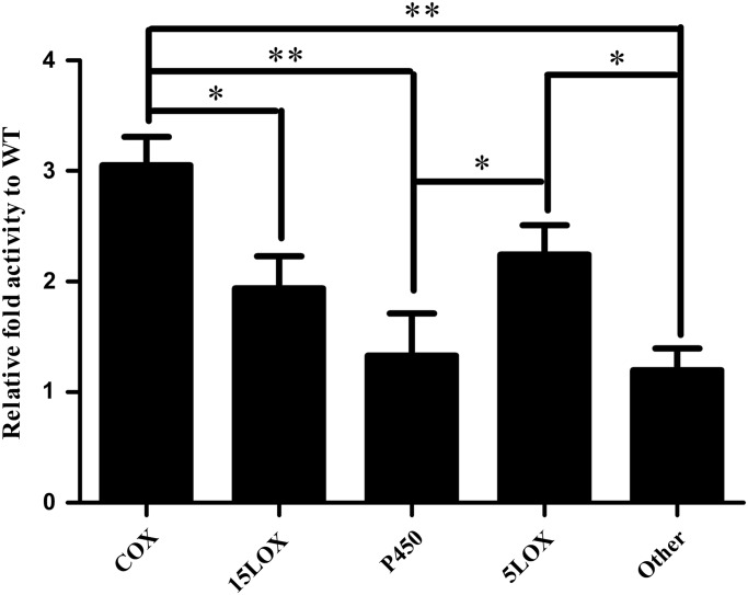 Figure 4.