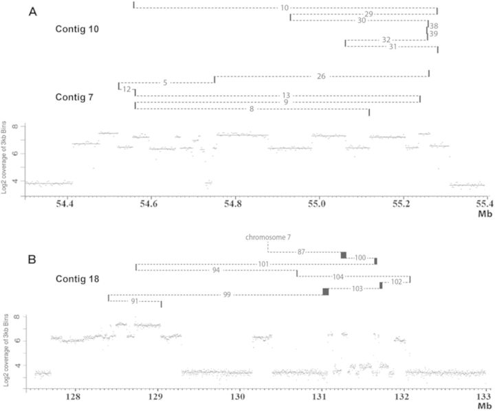 Figure 5.