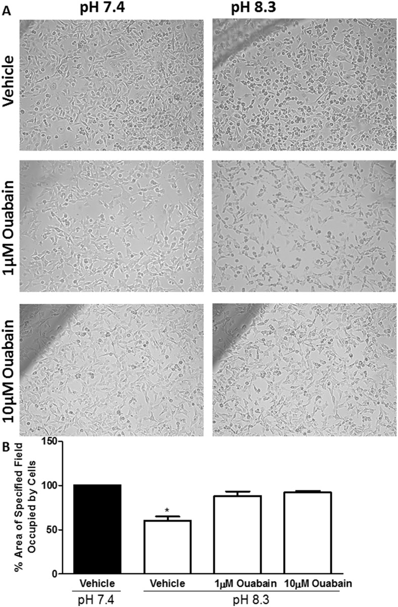 Fig 12