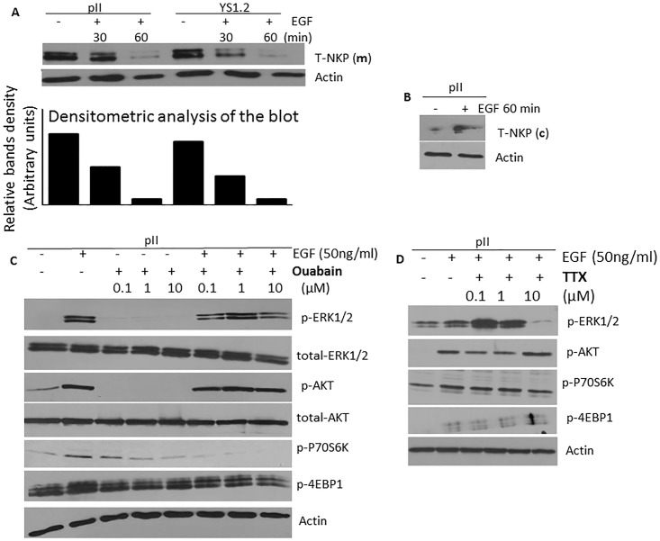 Fig 13