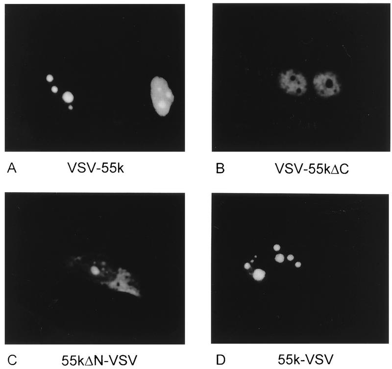 FIG. 7