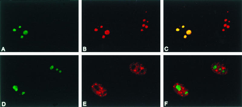 FIG. 6