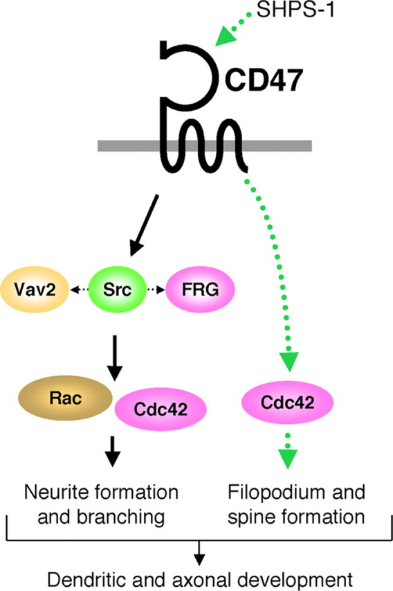 Figure 9.