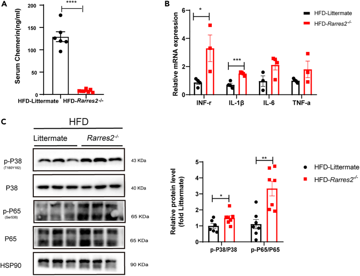 Figure 4