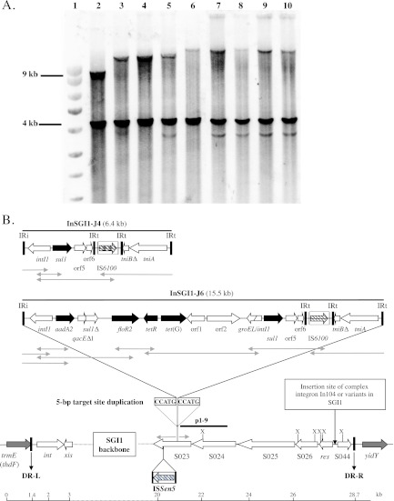 Fig 3