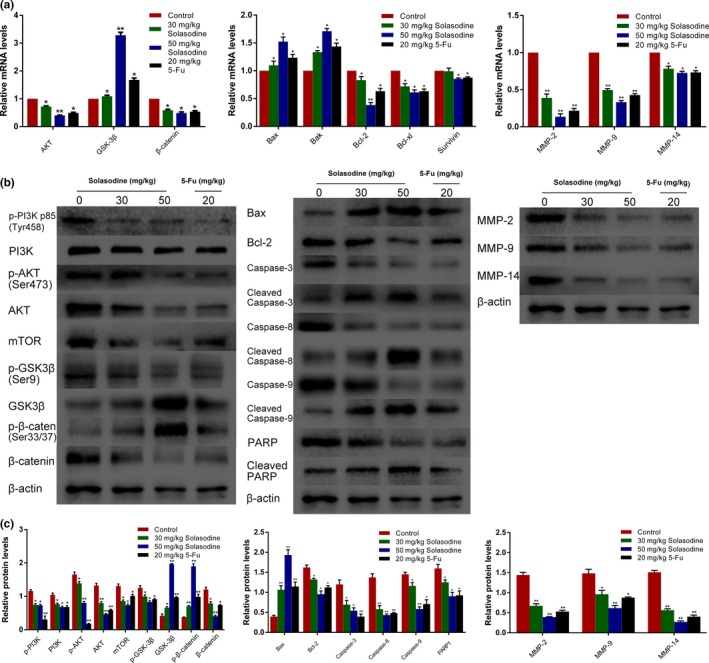 Figure 13