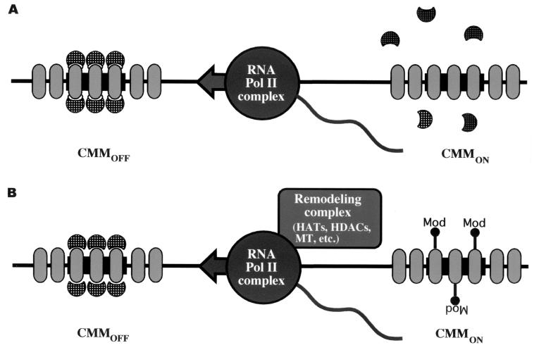 FIG. 6.