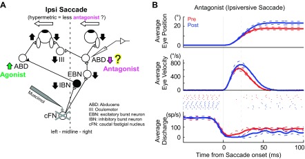 Fig. 8.